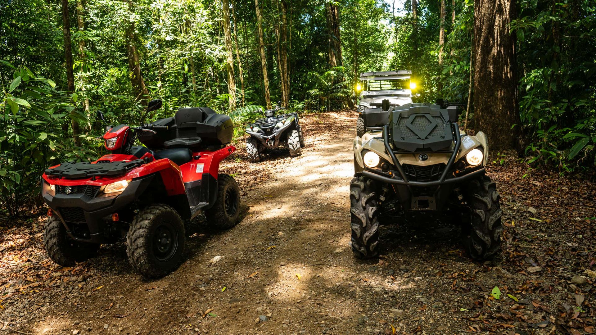 ATV riding through rainforest