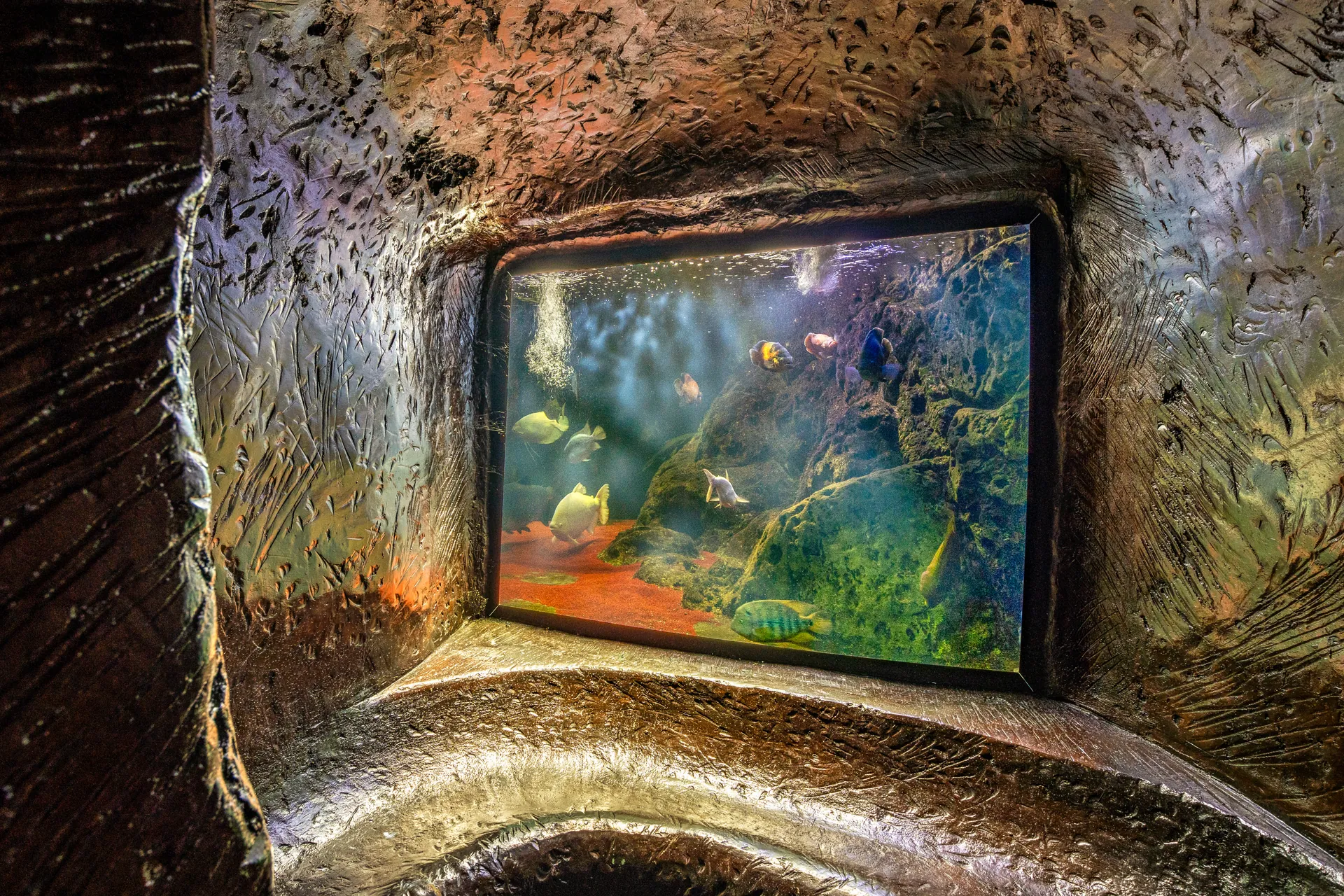 Jungle surroundings