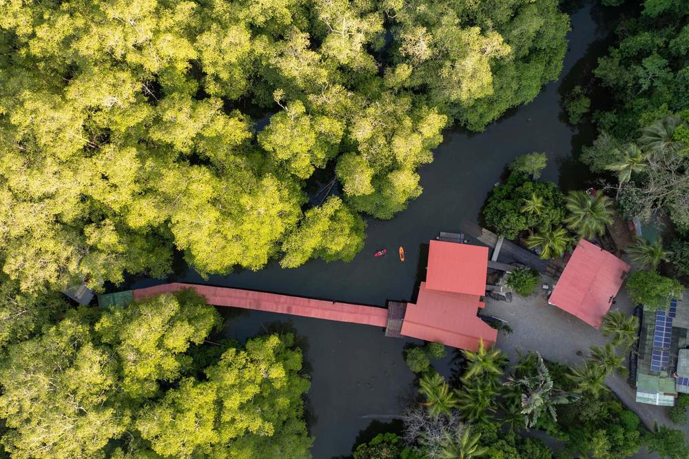 Aerial of the private dock in the mangrove channel