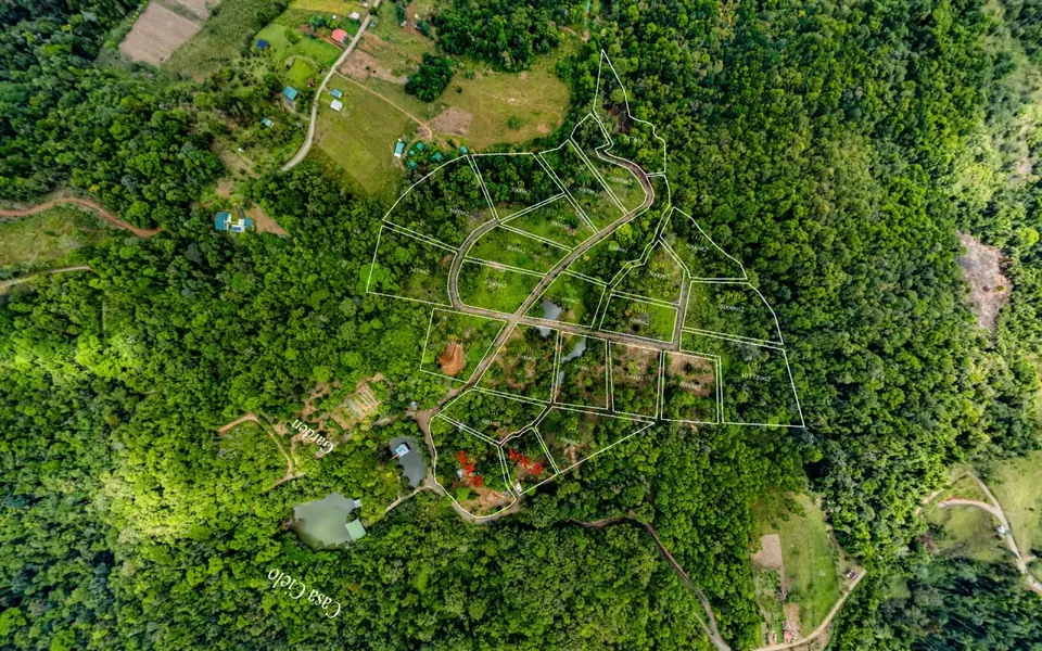 Plano de lotes de Arbor Eden visto desde arriba