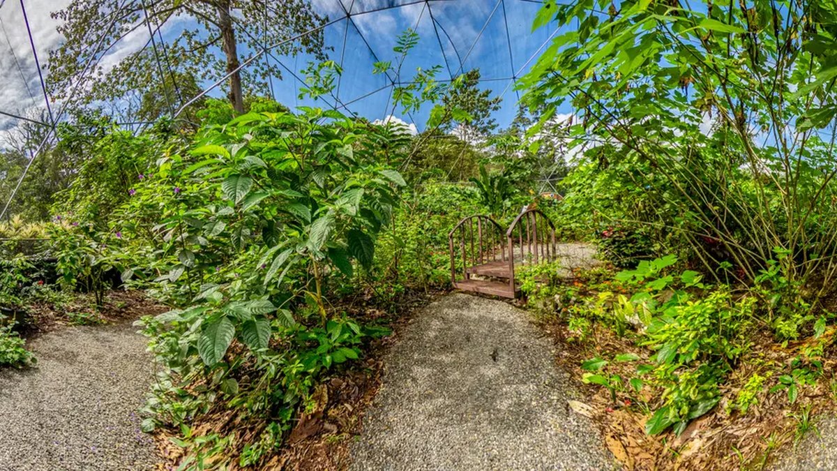 Tour Virtual Arenal Oasis Butterfly Dome